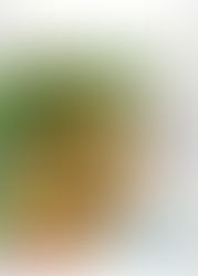 Eksklusivt tilbud til våre medlemmer i NEFF