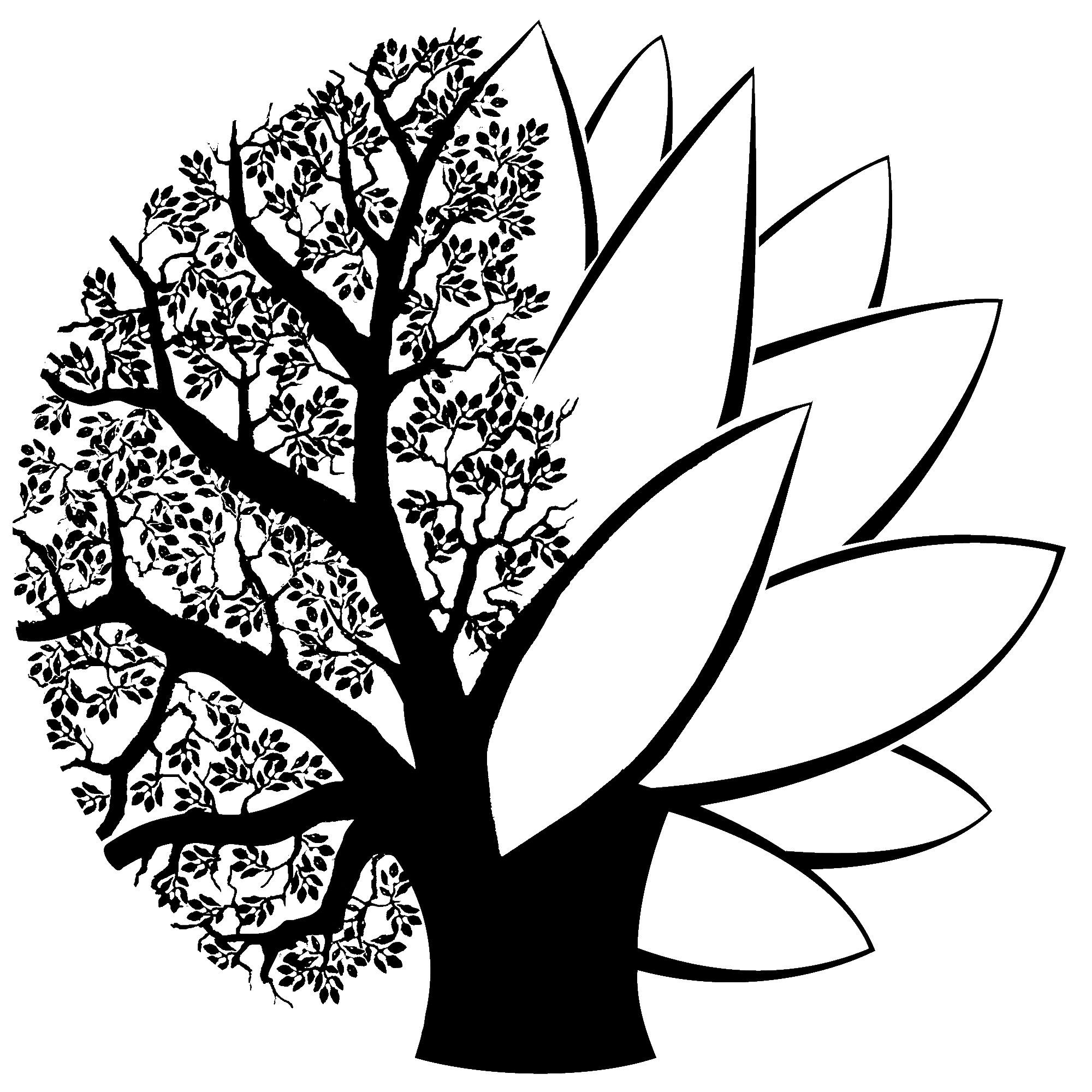 Oak and Lotus Yoga