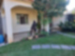 IMG-20241002-WA0199