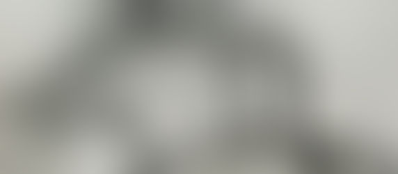 Holly's back - and so is workgroup