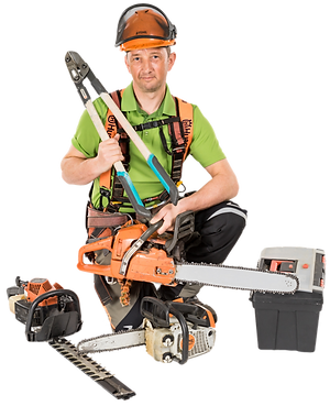 dieter-rehbein-baumfaellung-gartenfplege-winterdienst.png