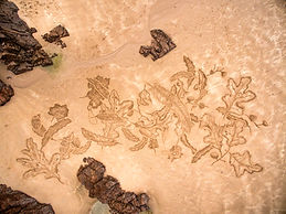 Aerial view of Autumn Sand Art Plemont B