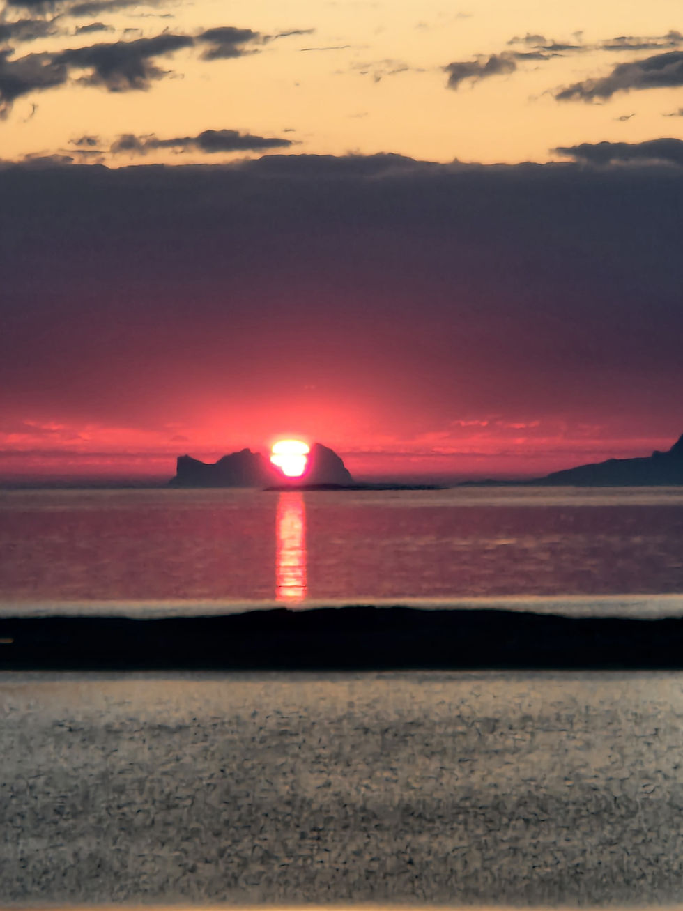 RIB Safari til Træna