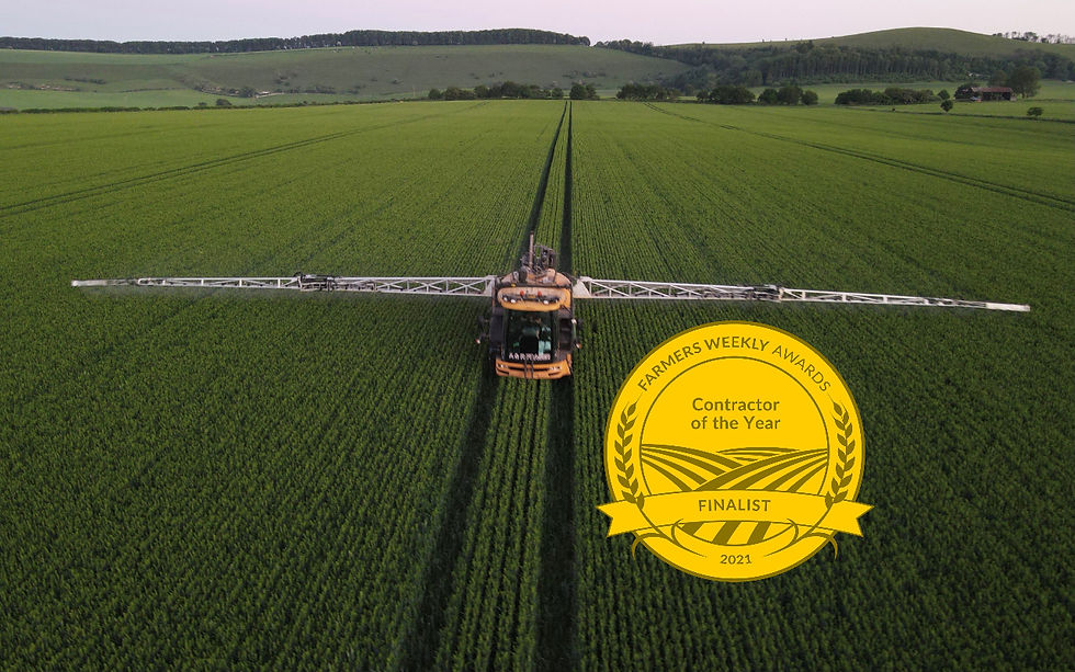 video_image (3)[6252].jpeg