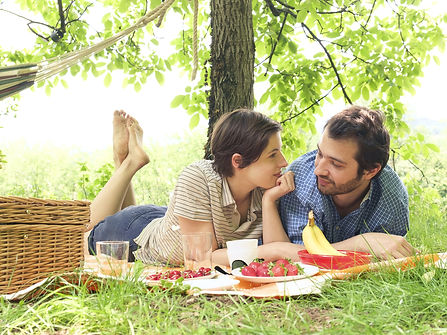 Couple pic nic.jpeg
