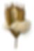 ChatGPT Image Nov 9, 2025, 01_35_21 AM.png