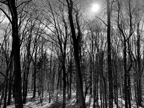signal-2023-01-03-190616_002.jpeg