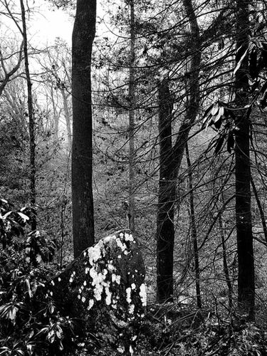 signal-2023-01-03-190201_002.jpeg