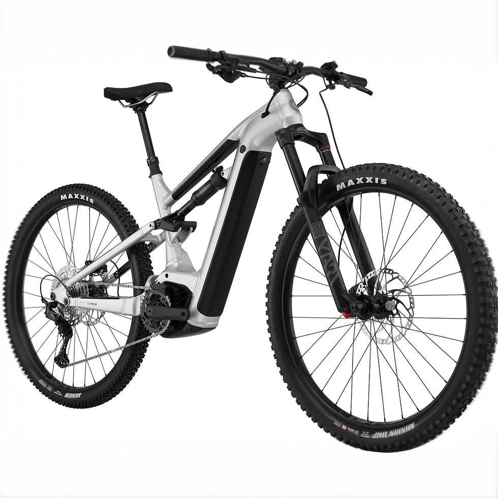 Cannondale Moterra 3