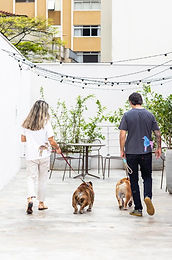 duas pessoas passeando com cachorros