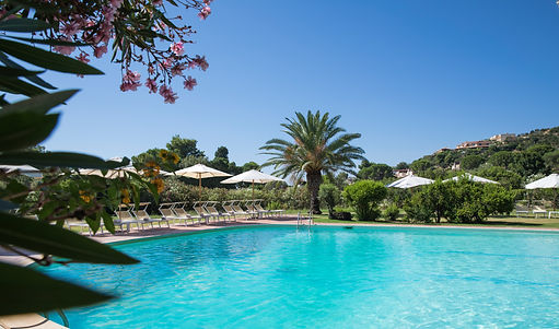 pool and palm 2.jpg