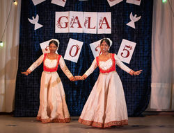 IMG_7834 (Large)