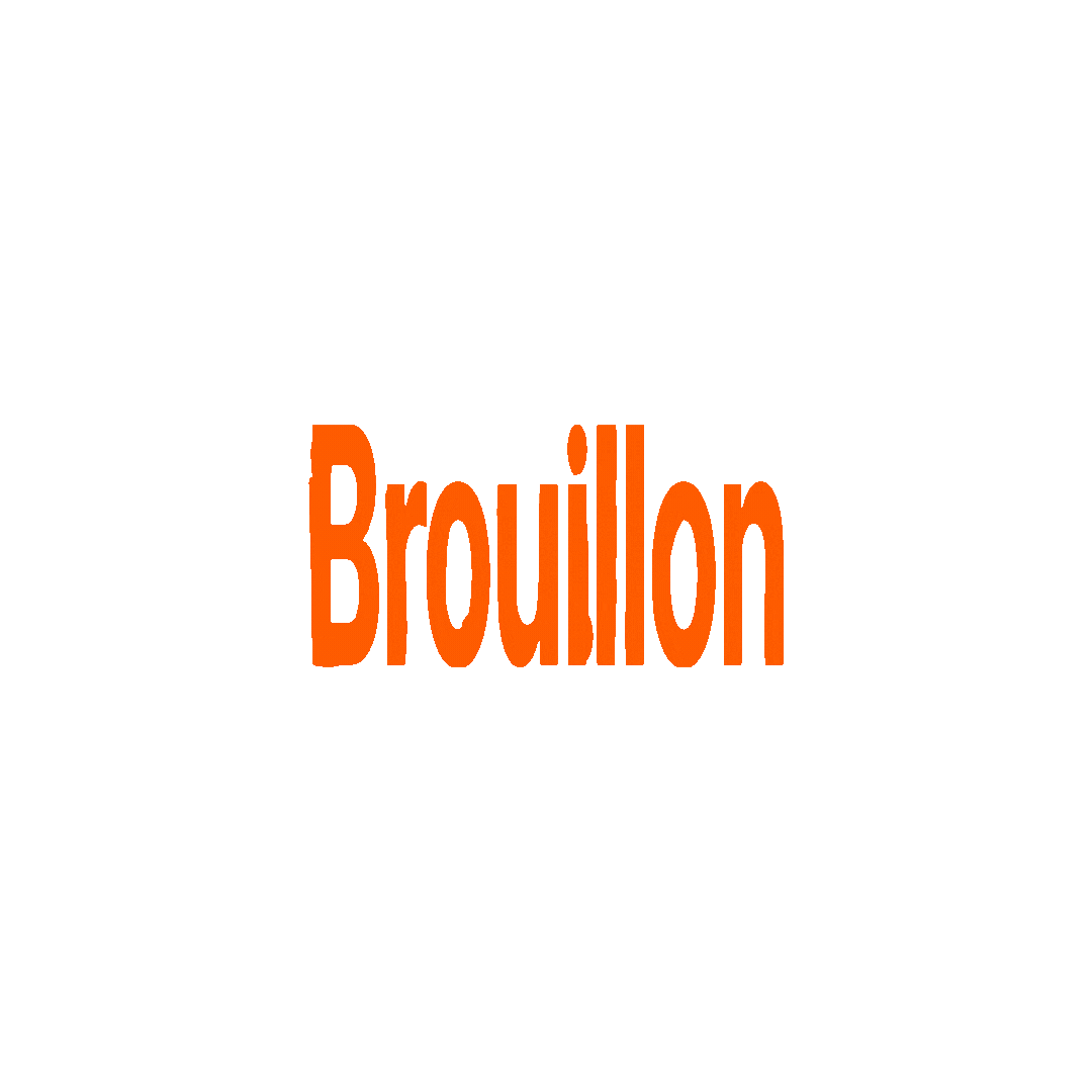 GIF logo BROUILLON(1).gif