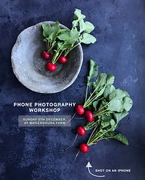 Phone Photography Workshop with Honey Atkinson