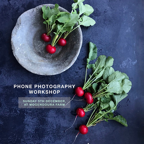 Phone Photography Workshop with Honey Atkinson