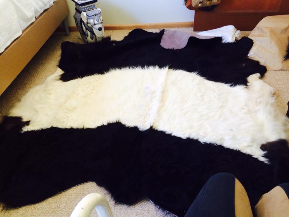 Thumbnail: Belted Galloway Hides