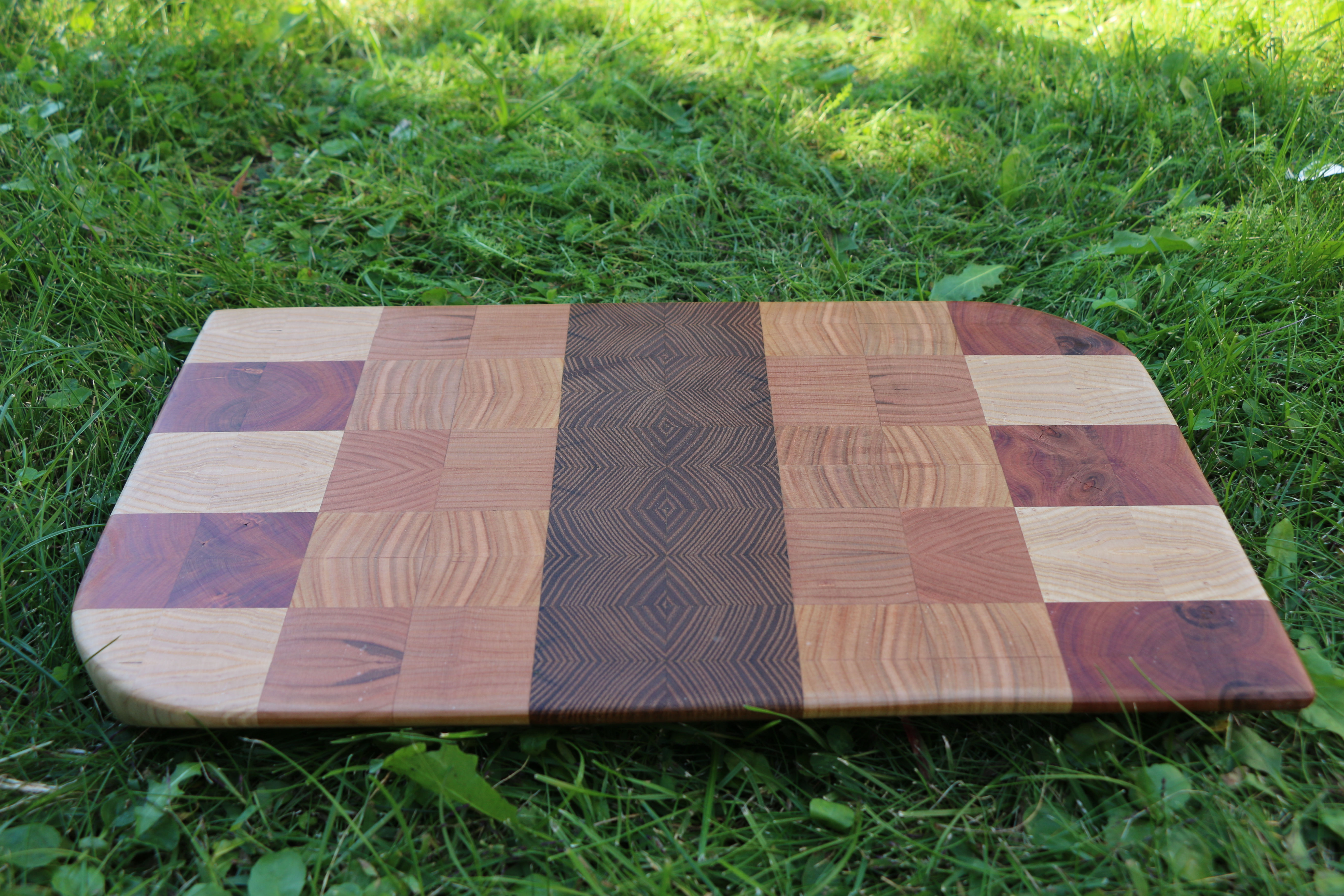 Esche I Kirsche I Robinie I Ulme I Zwetschke