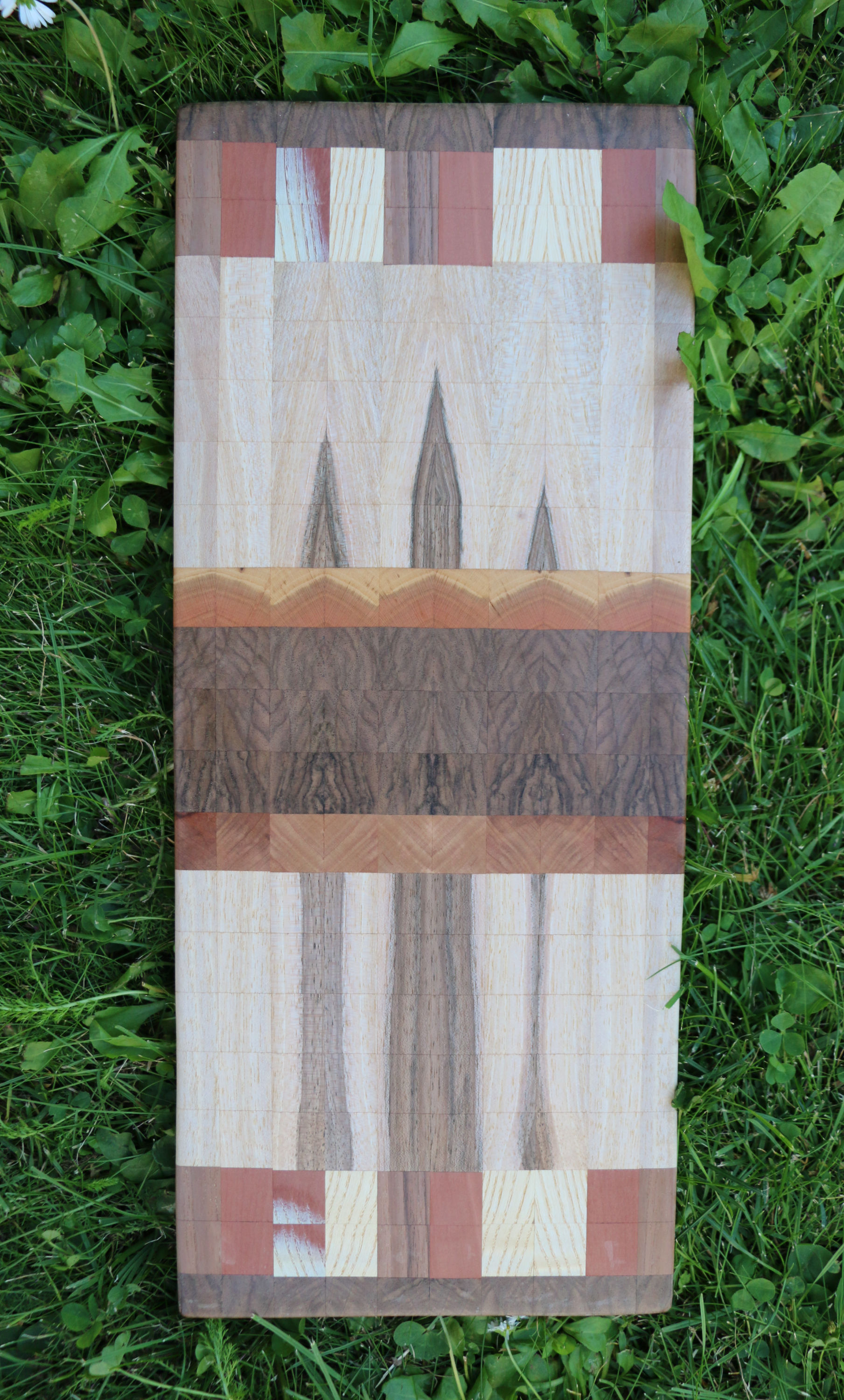 Elsbeere I Esche I Nuss I Zwetschke