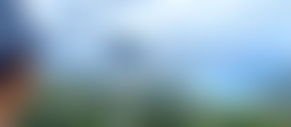 奄美大島にて、同志社大学 グローバル地域文化学部のフィールドワークを開催