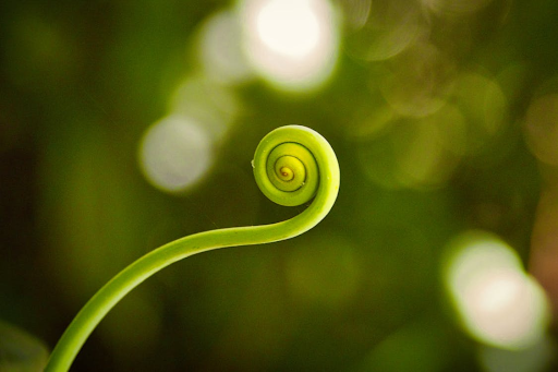 The Spiral Practice