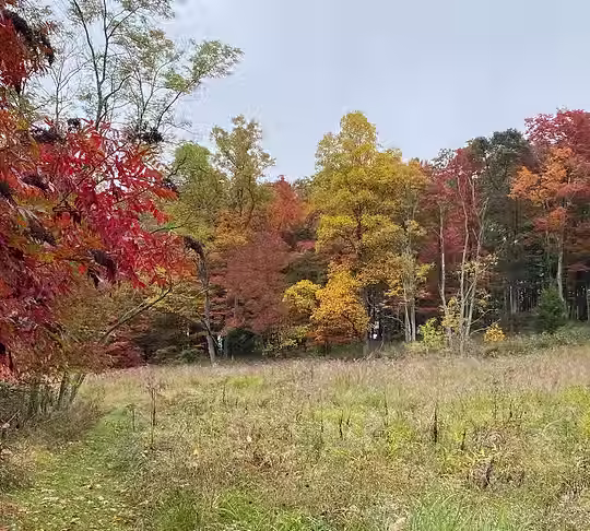 What the Season Leaves