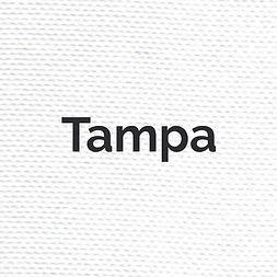 tampa_edited.jpg