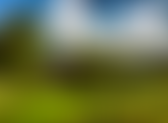 Kloster Niederrhein Sonne Apfelbäume