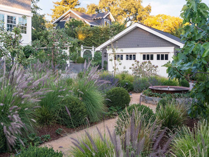 Edible Kentfield Garden