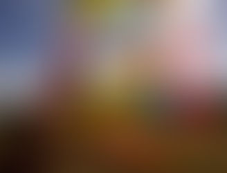 CONCURSO DE PAPALOTES TENANCINGO 2016.