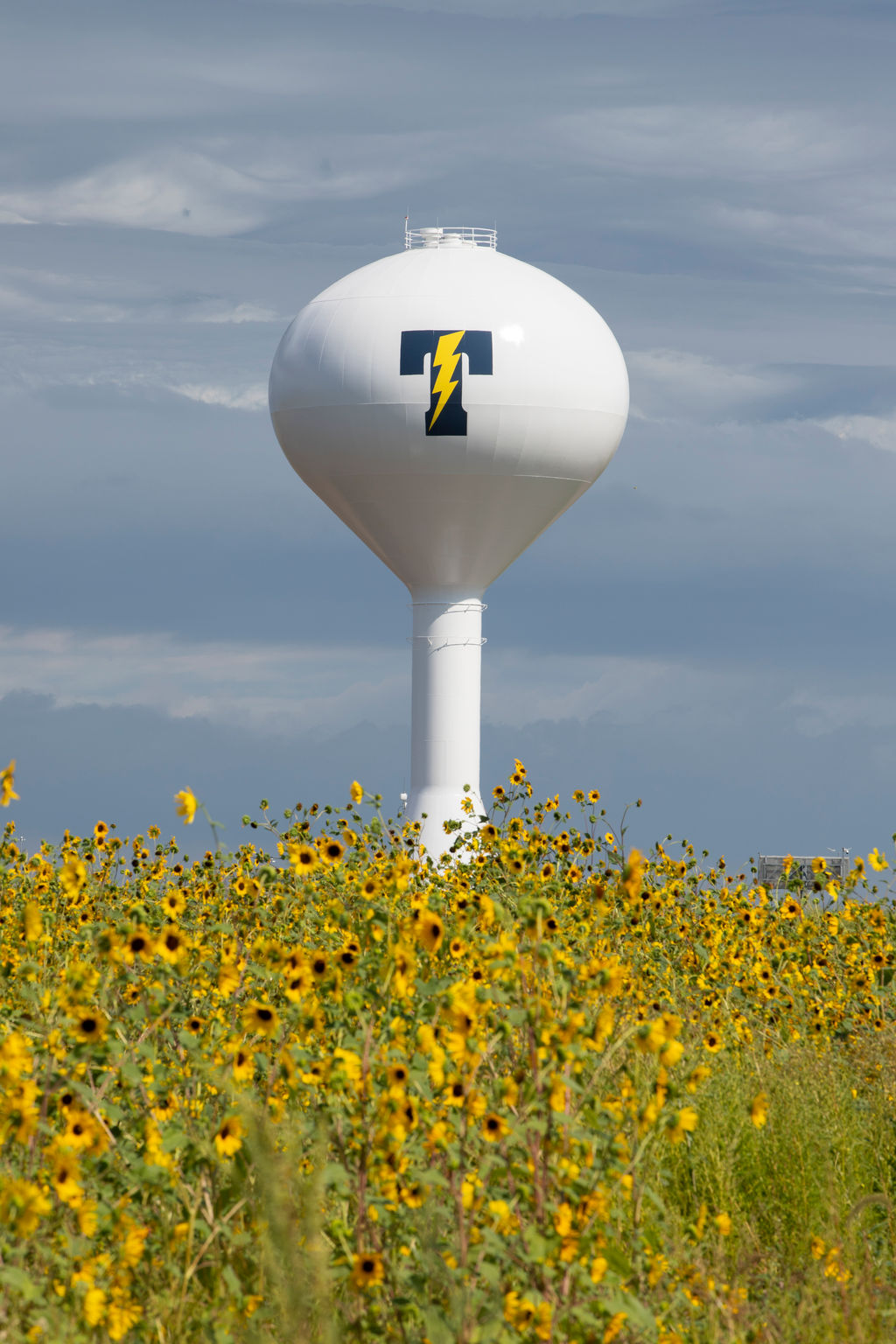 Tea Weekly, Tea South Dakota Newspaper United States TeaWeekly