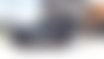 Police dog on patrol in Tea