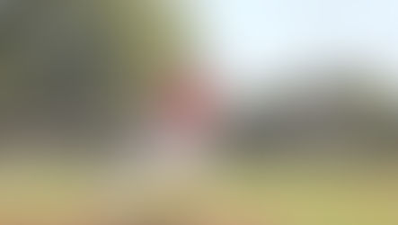 Post 266 TinCaps walk-off Vermillion, lose to Lennox