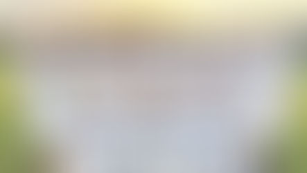 14U Titans wrap up season