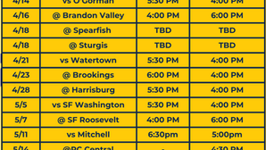 Tea Area softball looks to build on growth entering 2026 season
