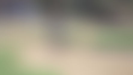 Region Champs: Titans headed to State