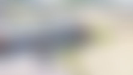 Squealer’s Smoke Shack to be featured on America’s Best Restaurants Roadshow