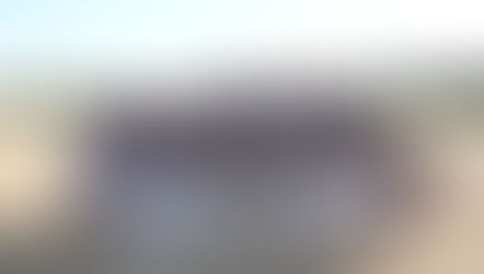 Titans claim first State softball title