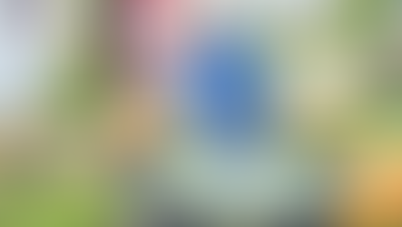 Check out one of these local pumpkin patches