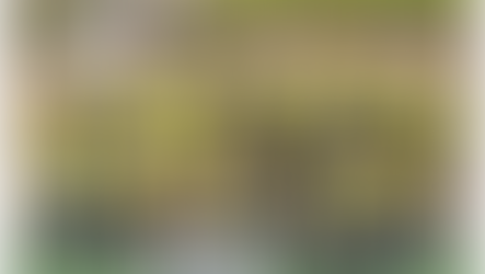 Titans face off in Pee Wee I Championship