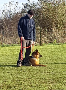 82364915_862162790911311_536228169714656