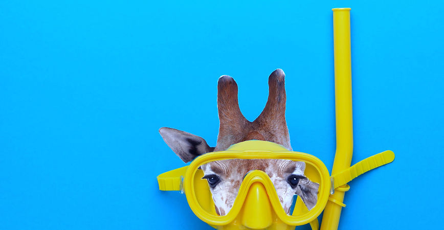 yellow-diving-mask_edited.jpg