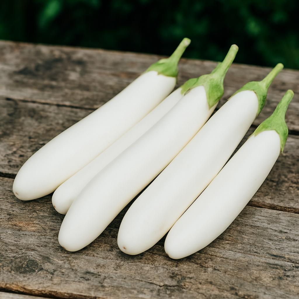 Smooth white Solanum melongena ‘White Knight’ aubergines shown in a natural garden harvest setting.