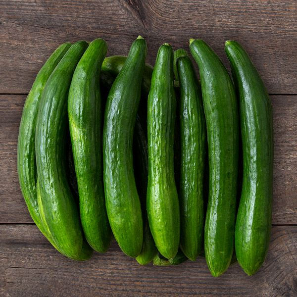 Cucumis sativus 'Telegraph Improved'—long, smooth greenhouse cucumber with mild flavour, perfect for fresh slicing.