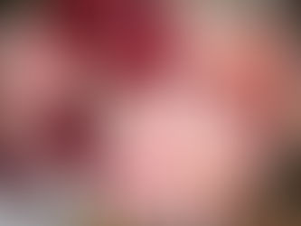 Extending The season - Growing Chrysanthemums