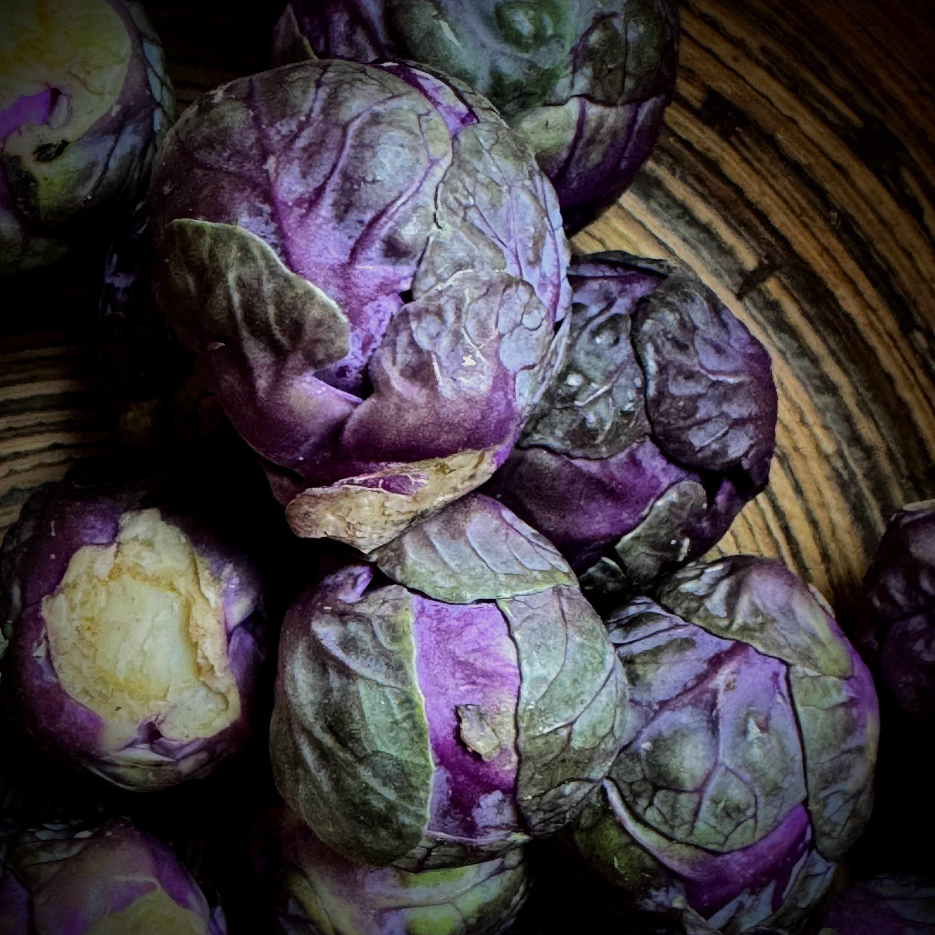 Brussels Sprout Red Bull