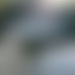 catterpillar tunnels in garden 