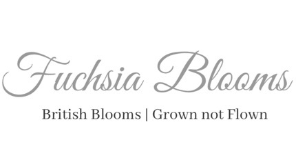 Fuchsia Blooms Flowers