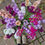 Thumbnail: Matthiola Incana (Stocks) Mixed2