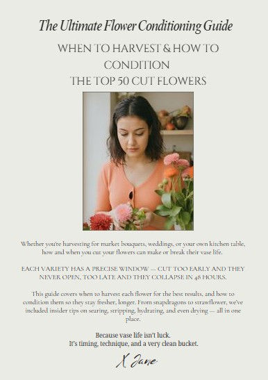 Cut Flower Vase Life & Conditioning Guide - How to Make Your Blooms Last Longer