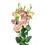 Thumbnail: Creamy blush Lisianthus Alissa Champagne blooms with ruffled petals and long cutting stems.